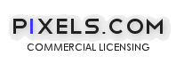 LogoPixelsLicensing